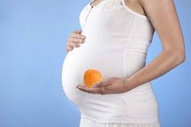 ما هي فوائد المشمش للحامل؟