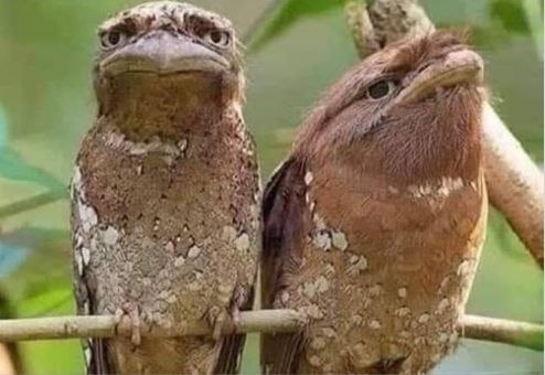 هل النساء حقًا نكدات؟