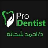 Pro Dentist