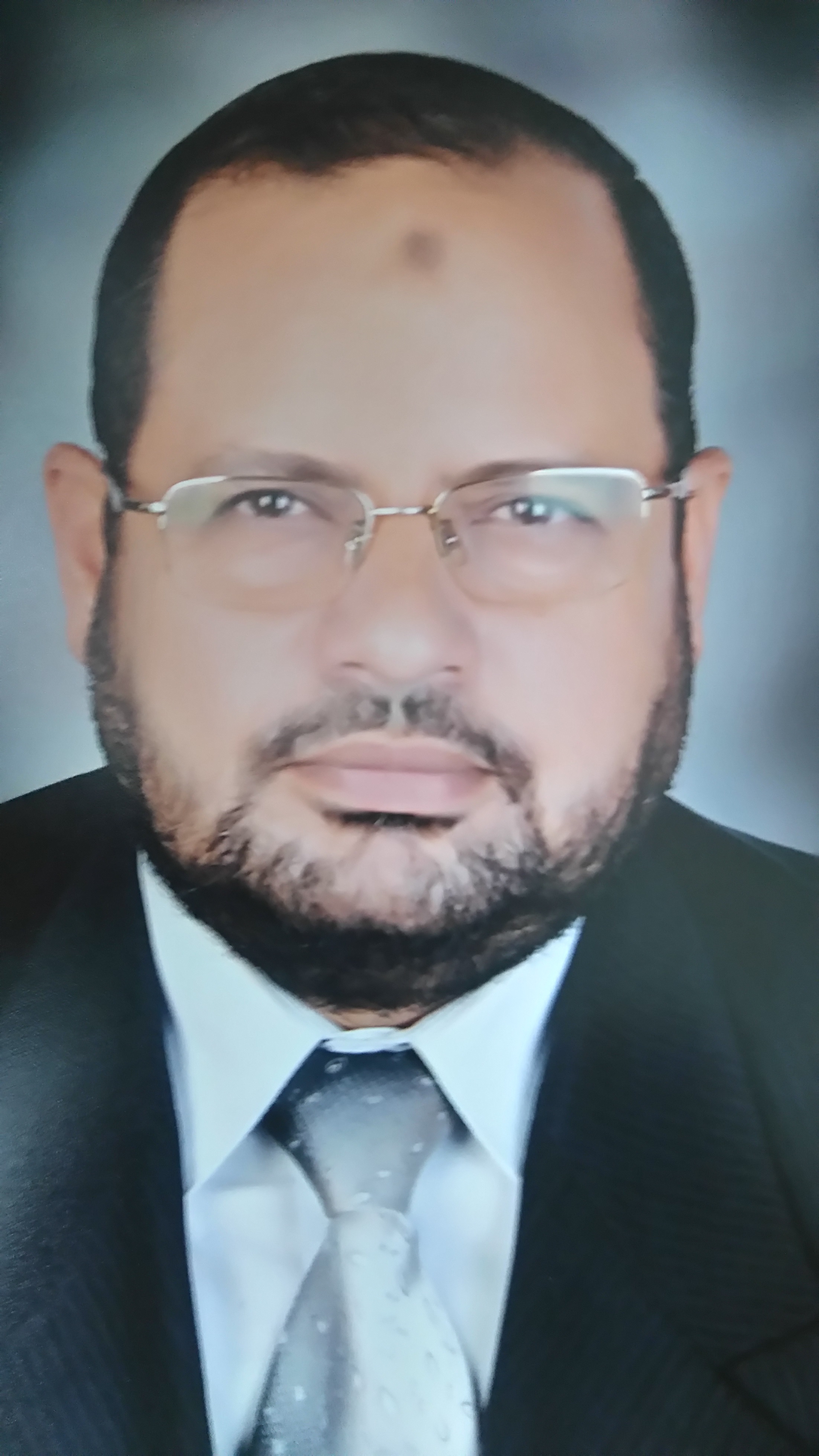 Khaled Abdel Al Halim Hefni