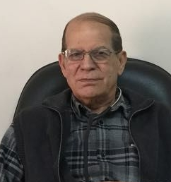 فاضل حسن