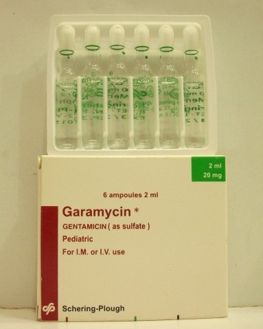 Garamycin 20
