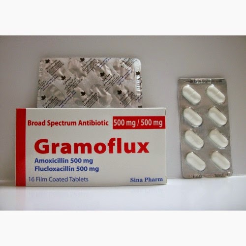 Gramoflux 1000