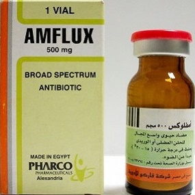Amoflux 500 - 1 Vial