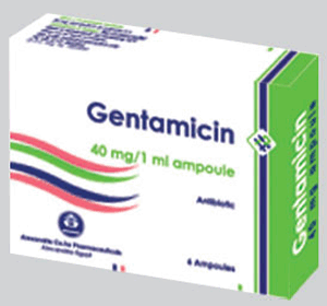 Gentamicin 40 - 6 Amp.