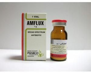 Amoflux 1000 - 1 Vial