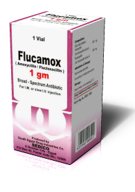 Flucamox 1000 Vial