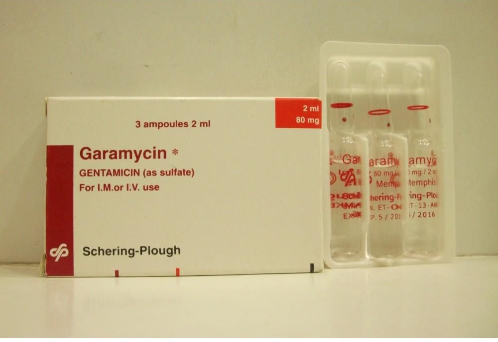 Garamycin 80